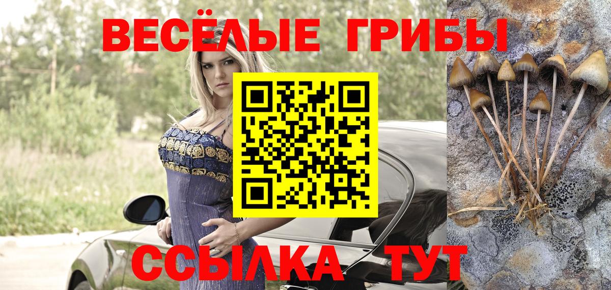 Галлюциногенные грибы Psilocybine cubensis Урай